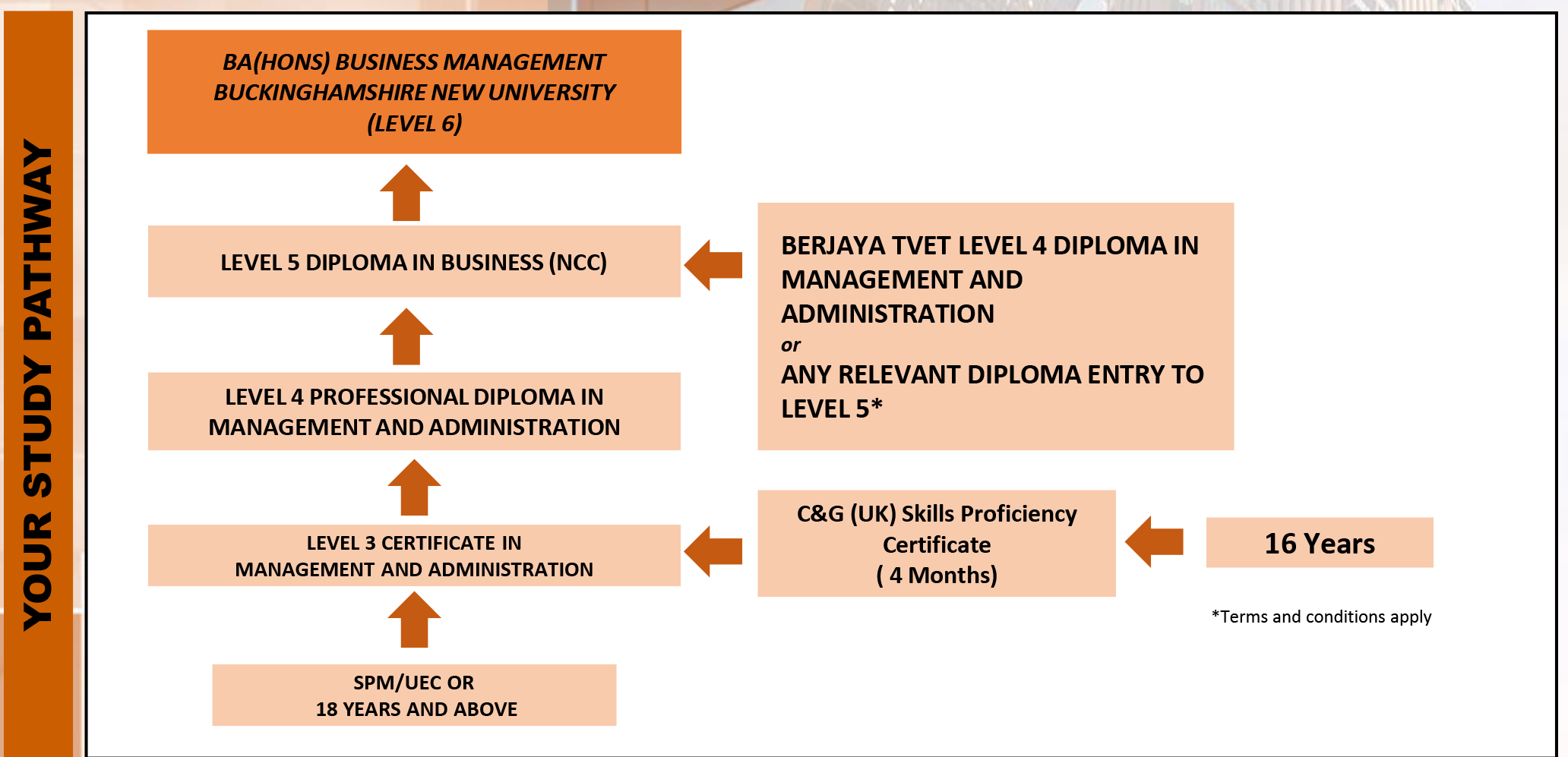 cma pathway cma pathway